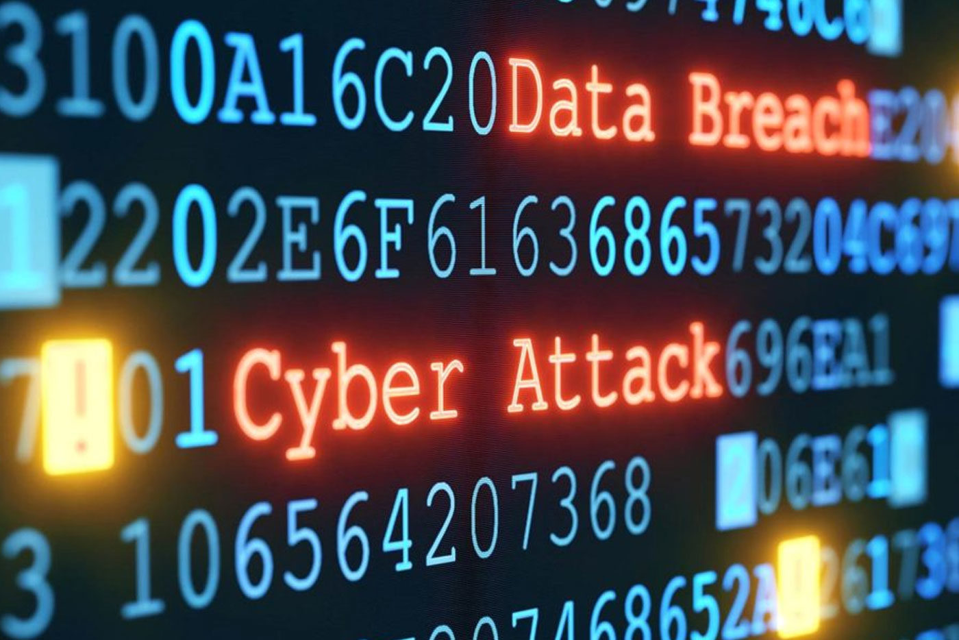 Vulnerability Assessment